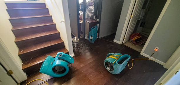 Best Basement water damage restoration  in South Paris, ME